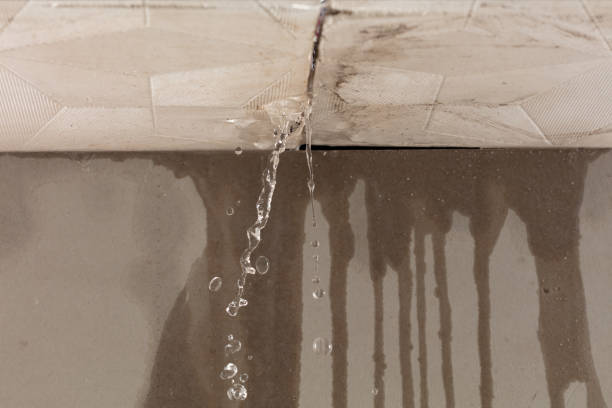 Professional Burst Pipe Cleanup technician working in Wapakoneta, OH